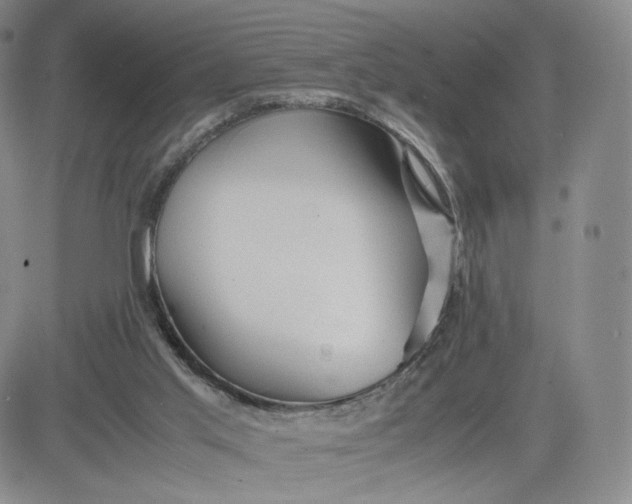 X0000083560013200702231615