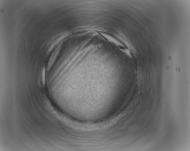 X0000083560014200702231615