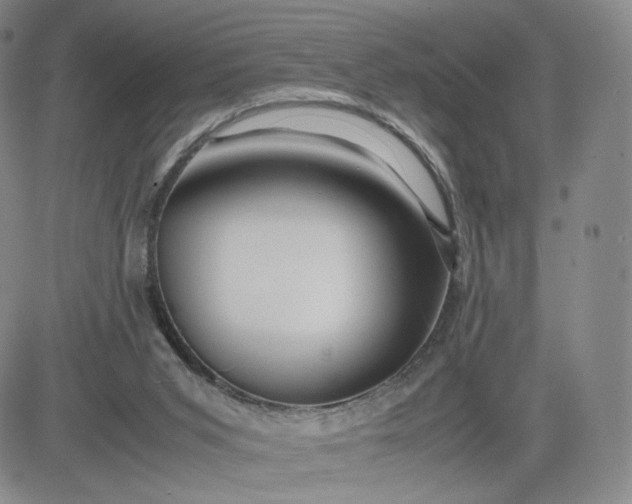 X0000083560015200702231615