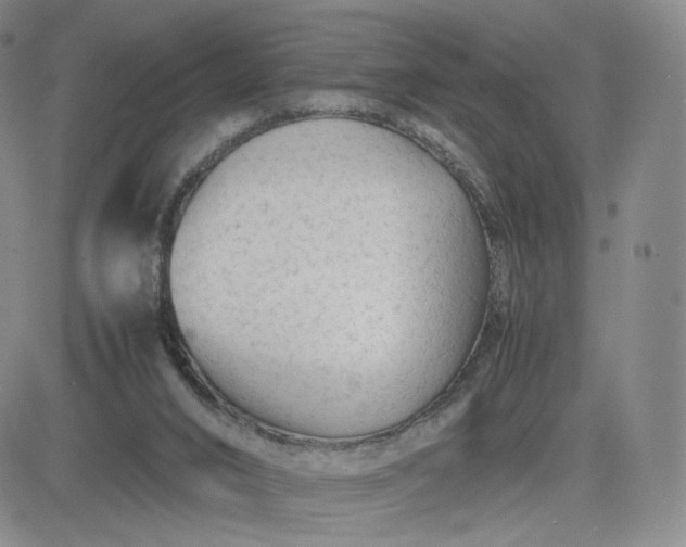 X0000083560016200702231615