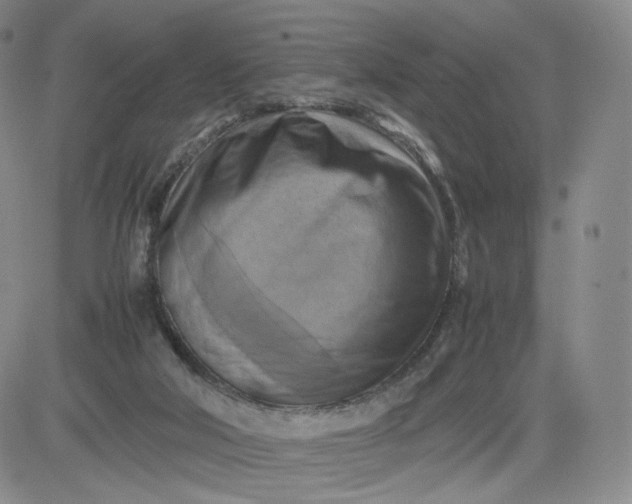 X0000083560018200702231615