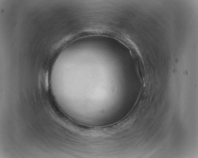 X0000083560020200702231615