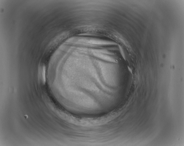 X0000083560022200702231615