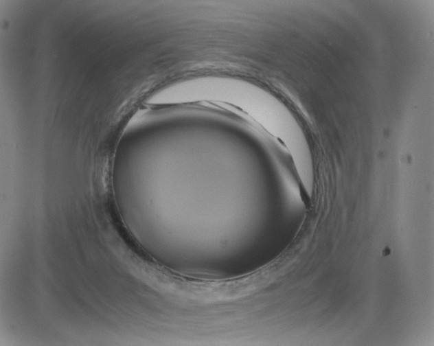 X0000083560023200702231615