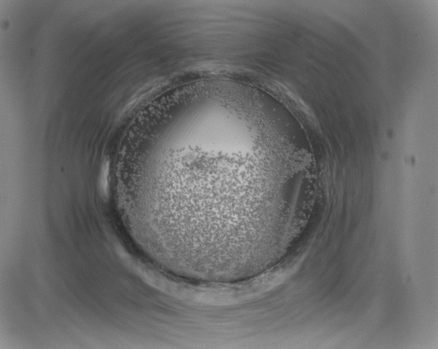 X0000083560024200702231615