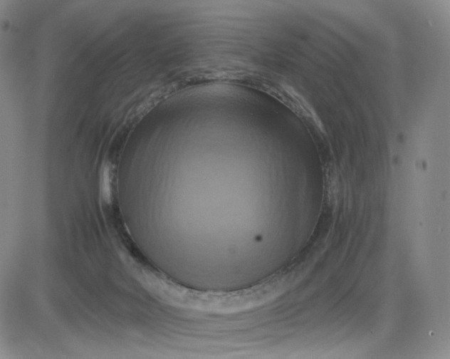 X0000083560026200702231615