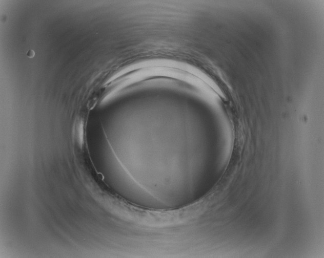 X0000083560027200702231615