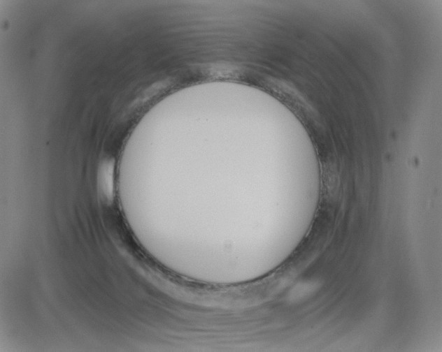 X0000083560028200702231615