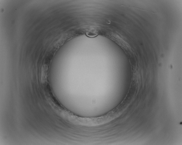 X0000083560030200702231615