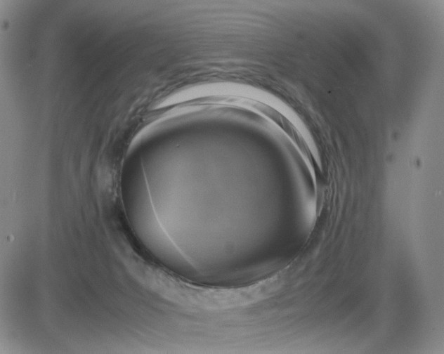 X0000083560031200702231615