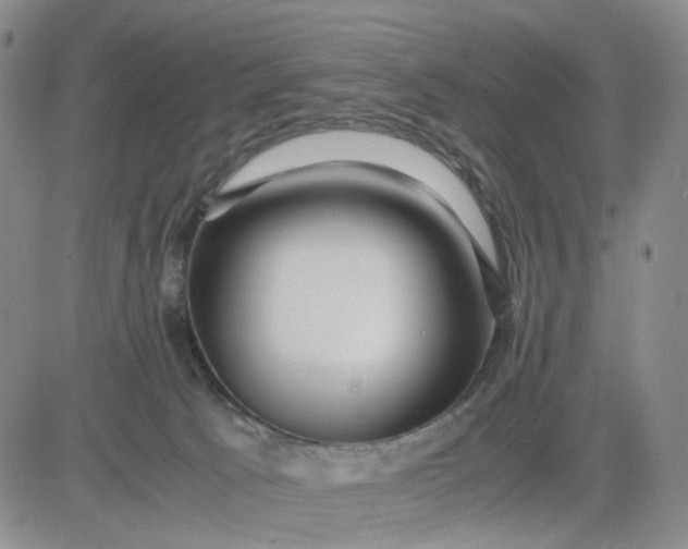 X0000083560033200702231615