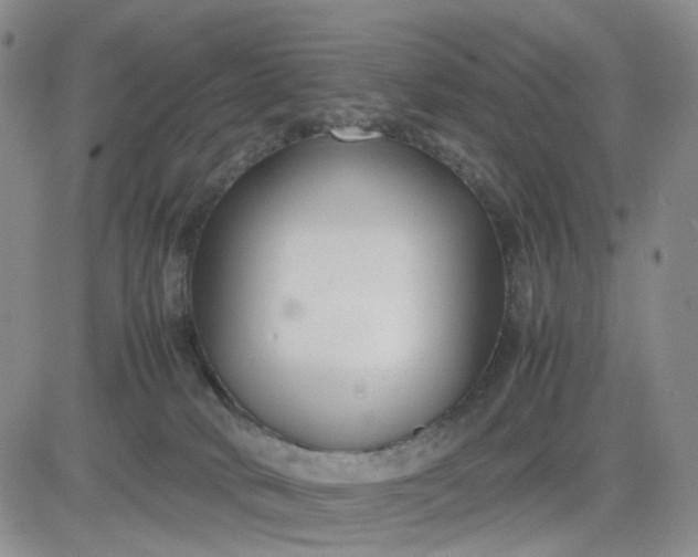 X0000083560034200702231615