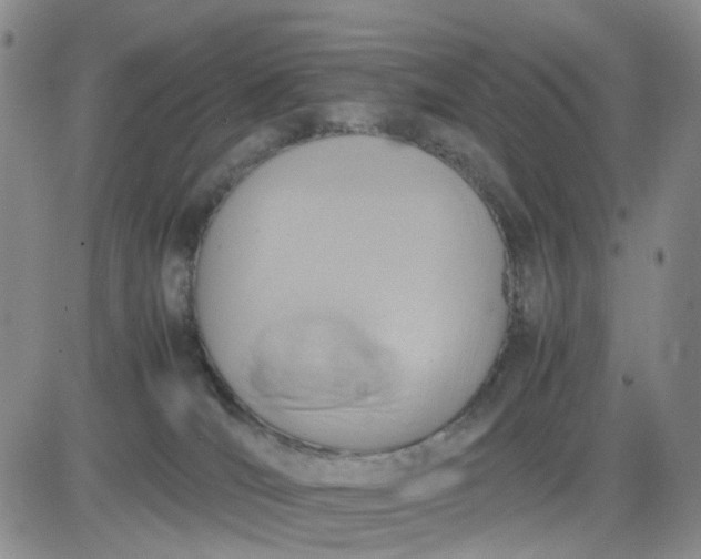 X0000083560036200702231615