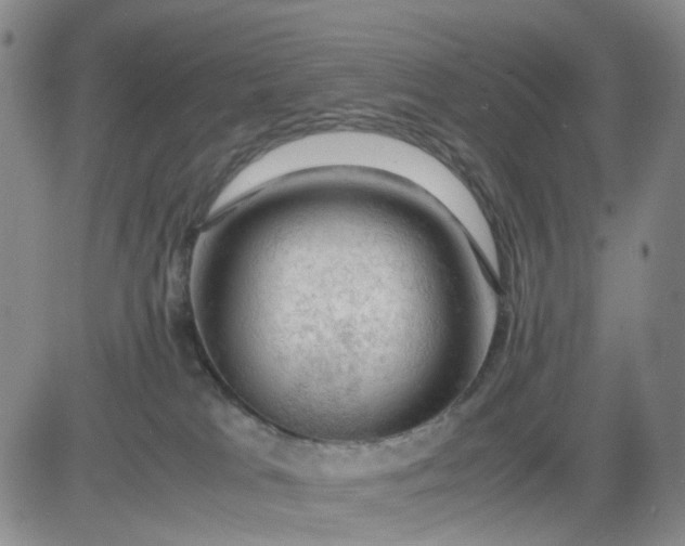 X0000083560037200702231615