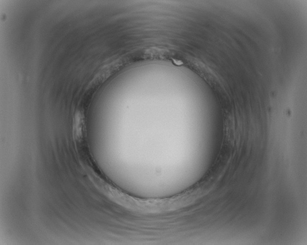 X0000083560038200702231615