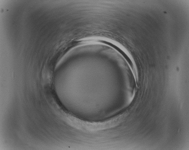 X0000083560039200702231615