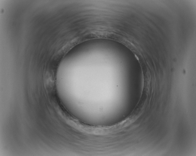 X0000083560040200702231615