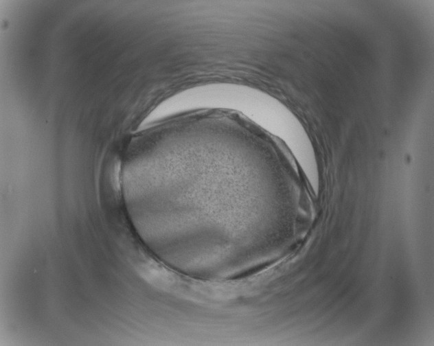 X0000083560041200702231615