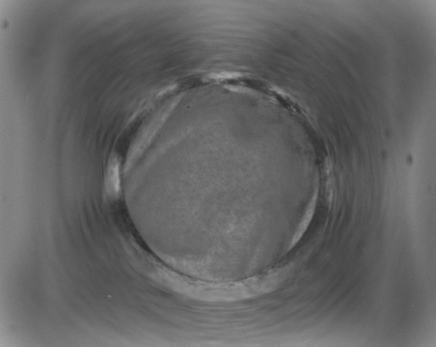 X0000083560042200702231615