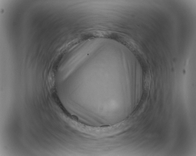 X0000083560043200702231615