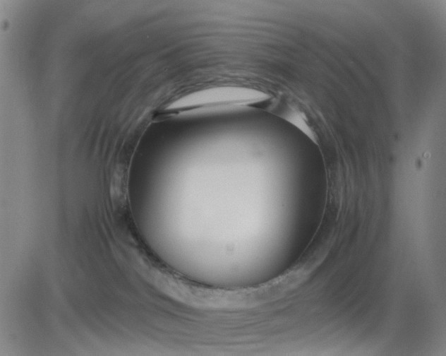 X0000083560044200702231615