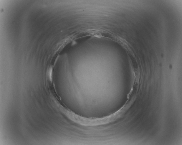 X0000083560047200702231615