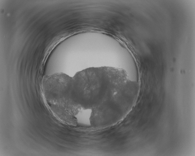 X0000083560049200702231614