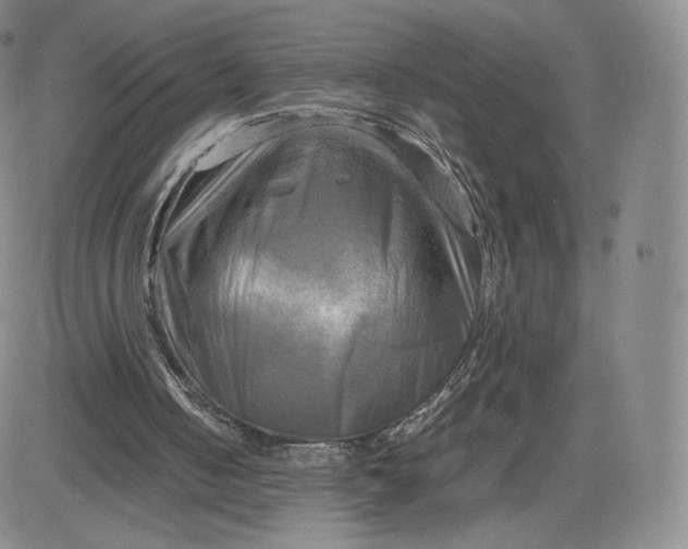 X0000083560050200702231614