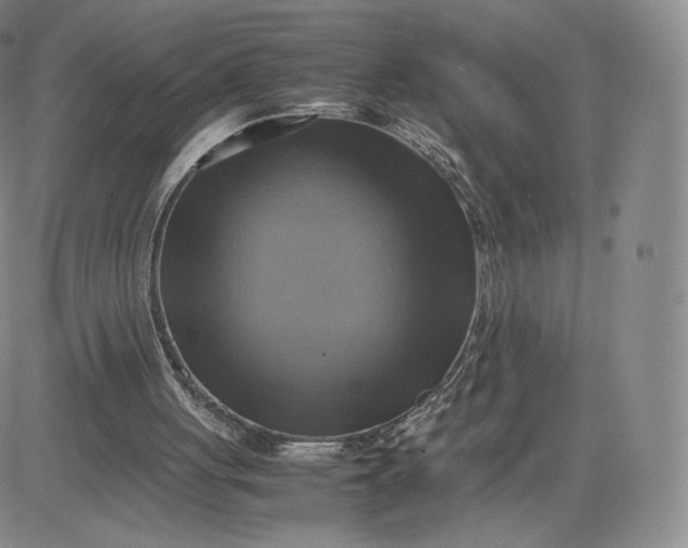 X0000083560051200702231614