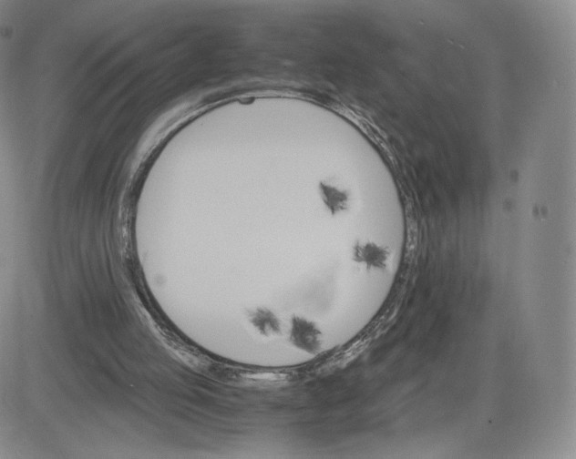 X0000083560053200702231614