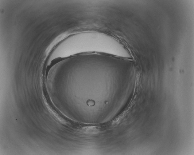 X0000083560054200702231614