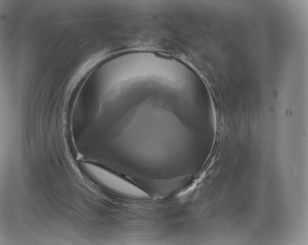 X0000083560055200702231614