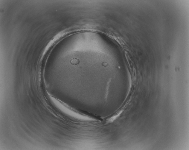 X0000083560056200702231614