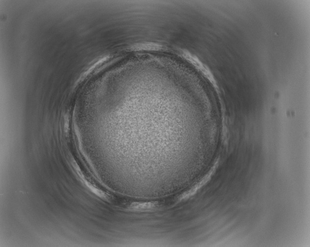 X0000083560057200702231614