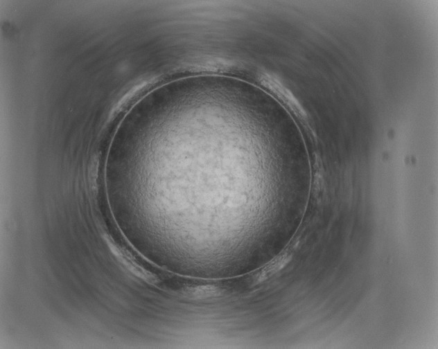 X0000083560058200702231614