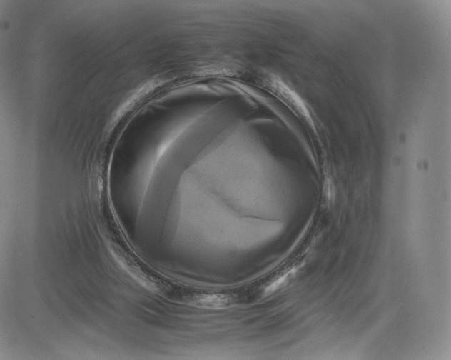 X0000083560059200702231614