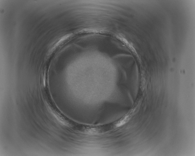 X0000083560062200702231614