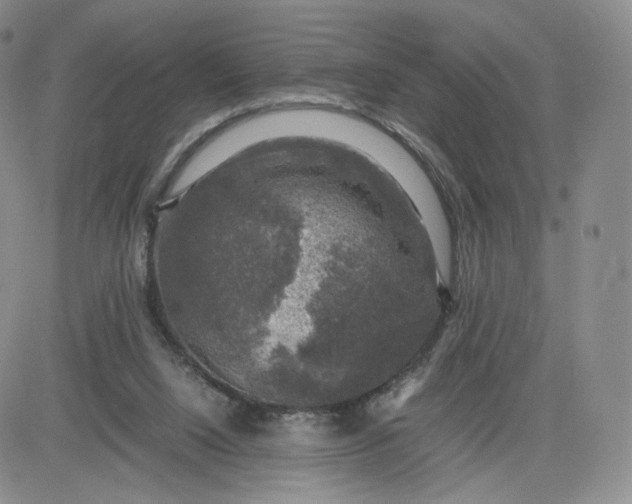 X0000083560064200702231614