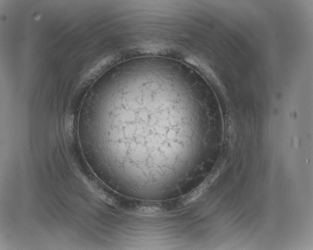 X0000083560066200702231614