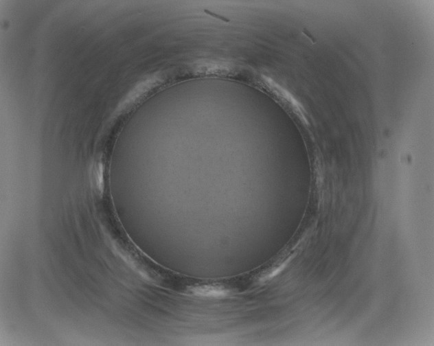 X0000083560067200702231614