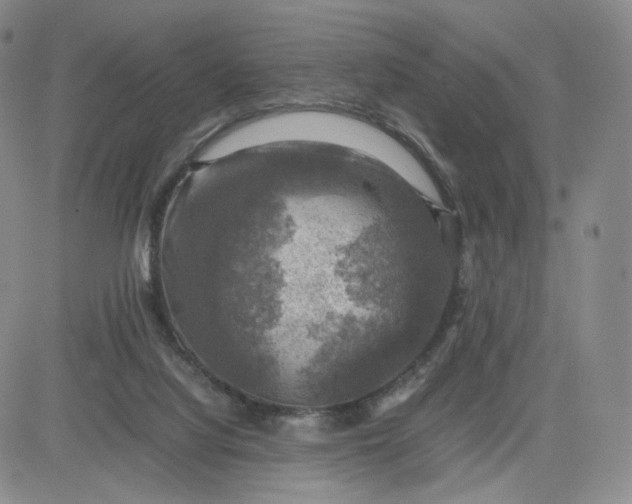 X0000083560068200702231614