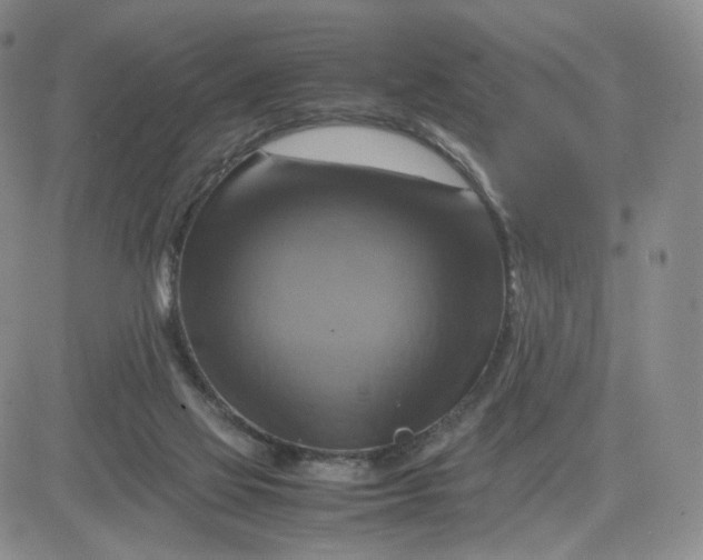 X0000083560069200702231614