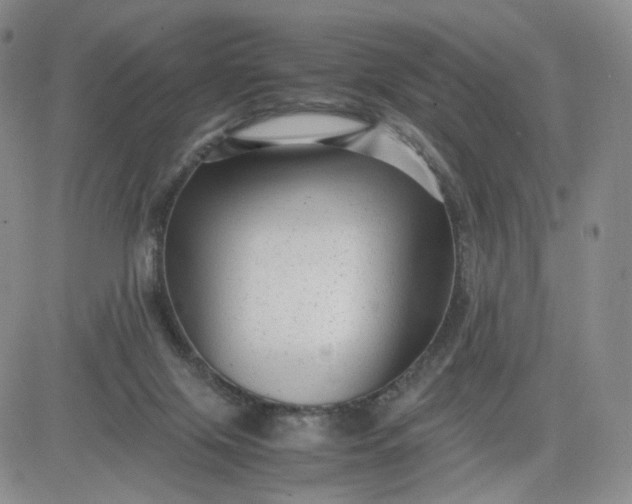 X0000083560071200702231614