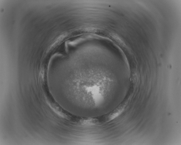 X0000083560072200702231614