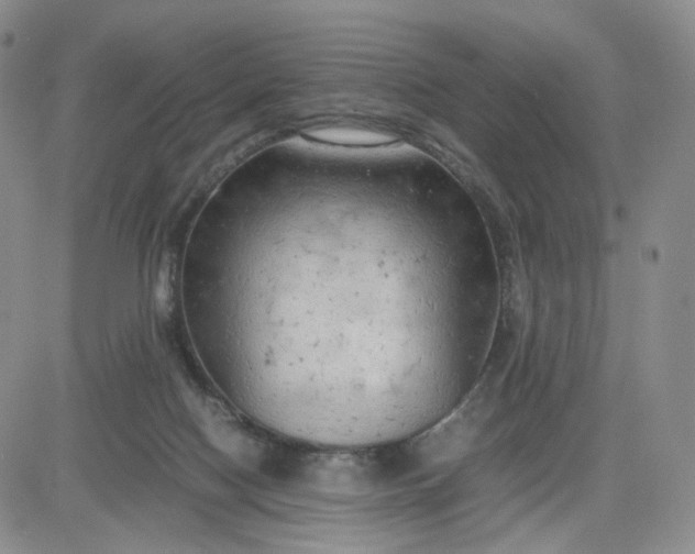 X0000083560074200702231614