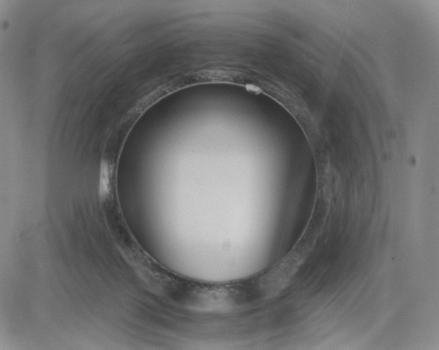 X0000083560075200702231614