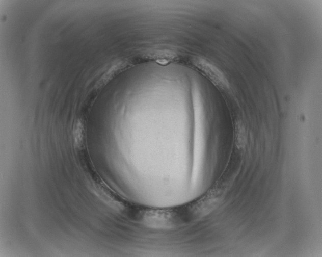 X0000083560077200702231615