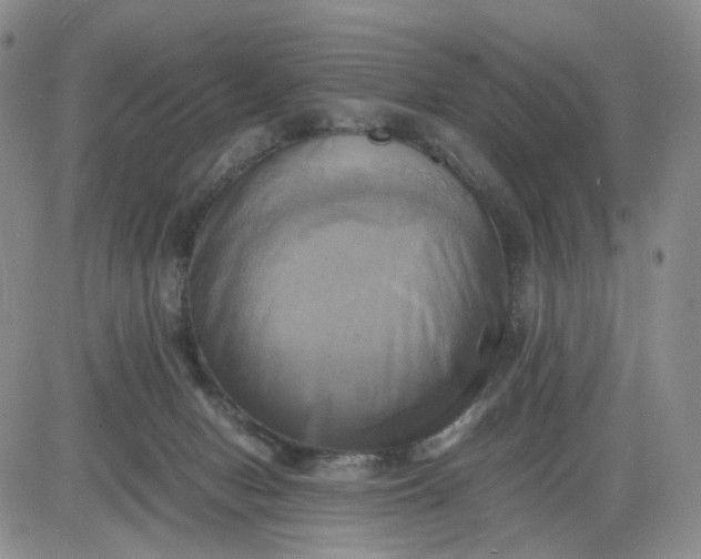 X0000083560078200702231615