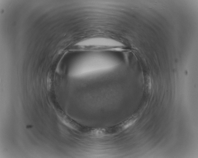 X0000083560080200702231615