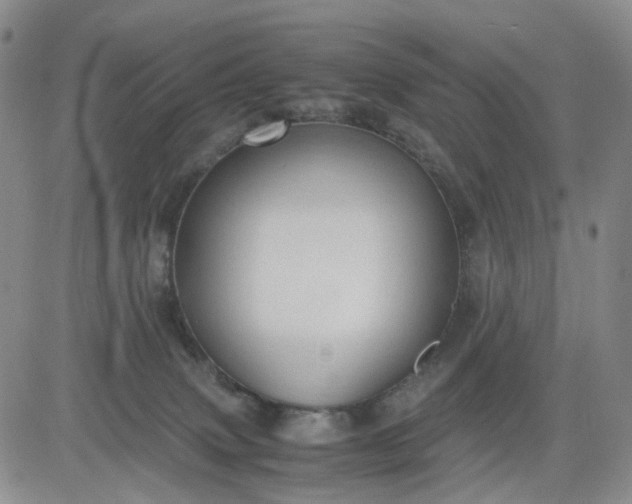 X0000083560083200702231615